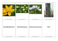 Blumen-Memo-Aufdeckspiel-19.pdf